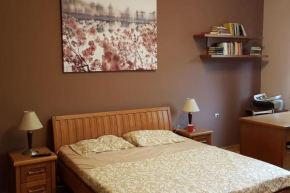 Perfect Apartment Sofia